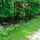 Image for article titled The Mysterious Pile Of 1950s Transmissions Buried At The Site Of An Old GM Plant